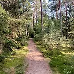 Original Embraced By Nature Frederiksværk
