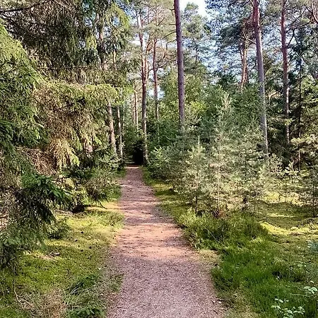 Original Embraced By Nature Frederiksværk
